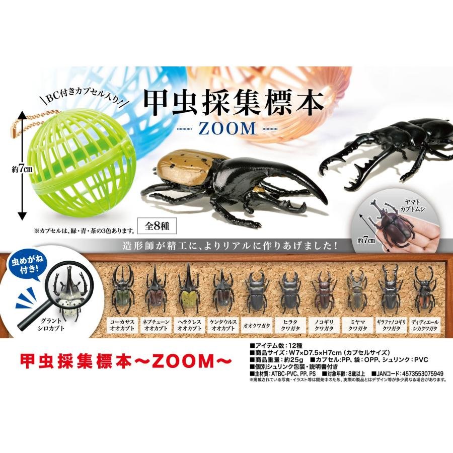 YELL 甲蟲採集標本 ZOOM篇 扭蛋 轉蛋 (全12款)